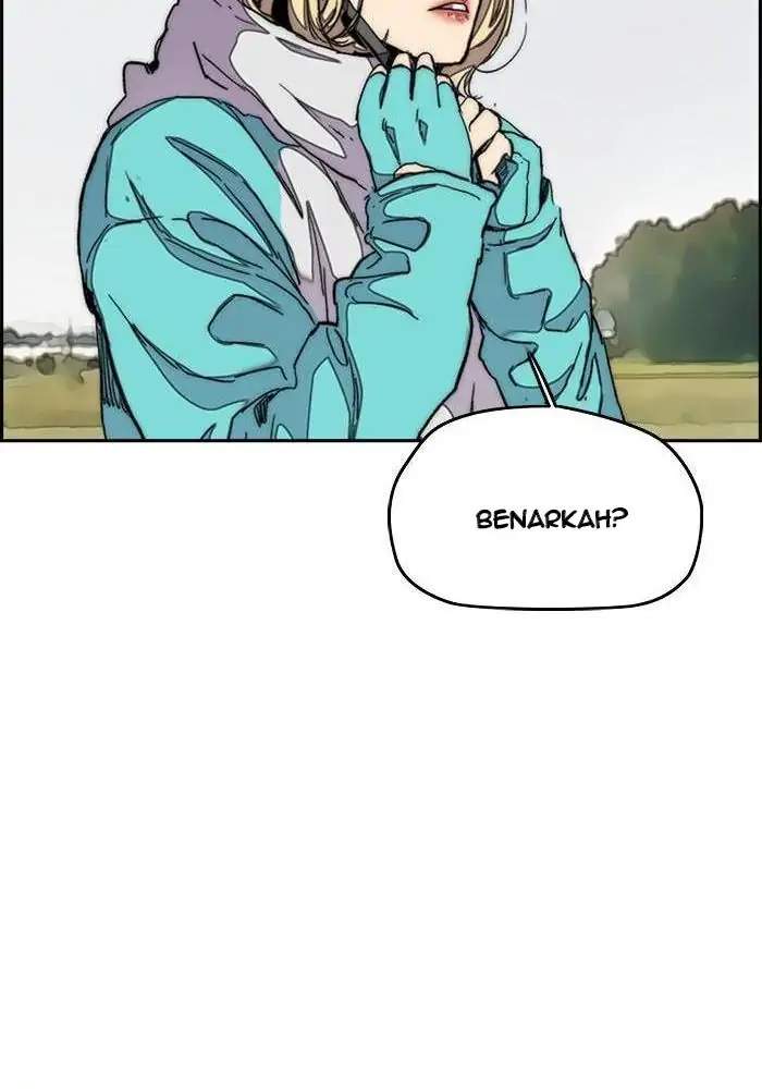 Wind Breaker