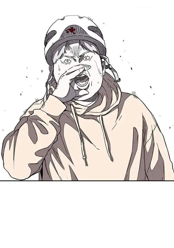Wind Breaker