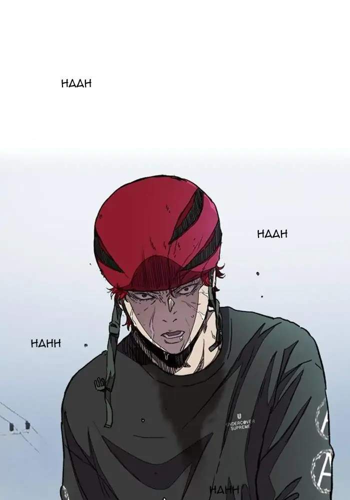 Wind Breaker
