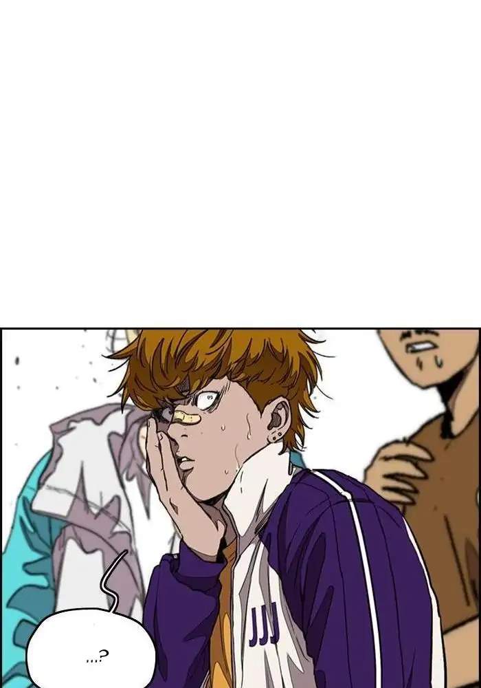 Wind Breaker