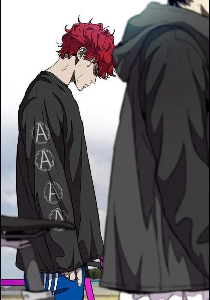 Wind Breaker