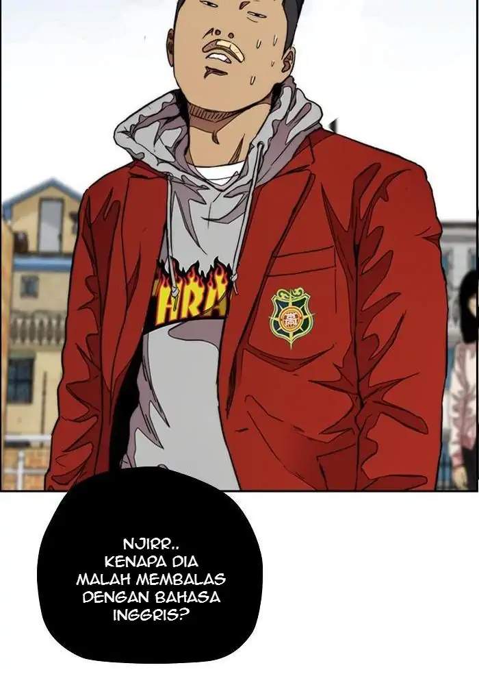 Wind Breaker