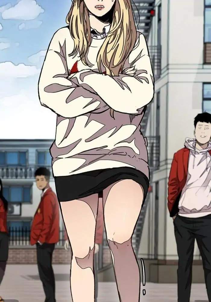 Wind Breaker