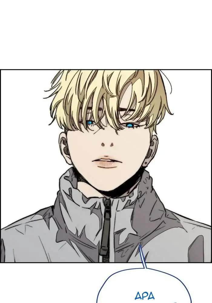 Wind Breaker
