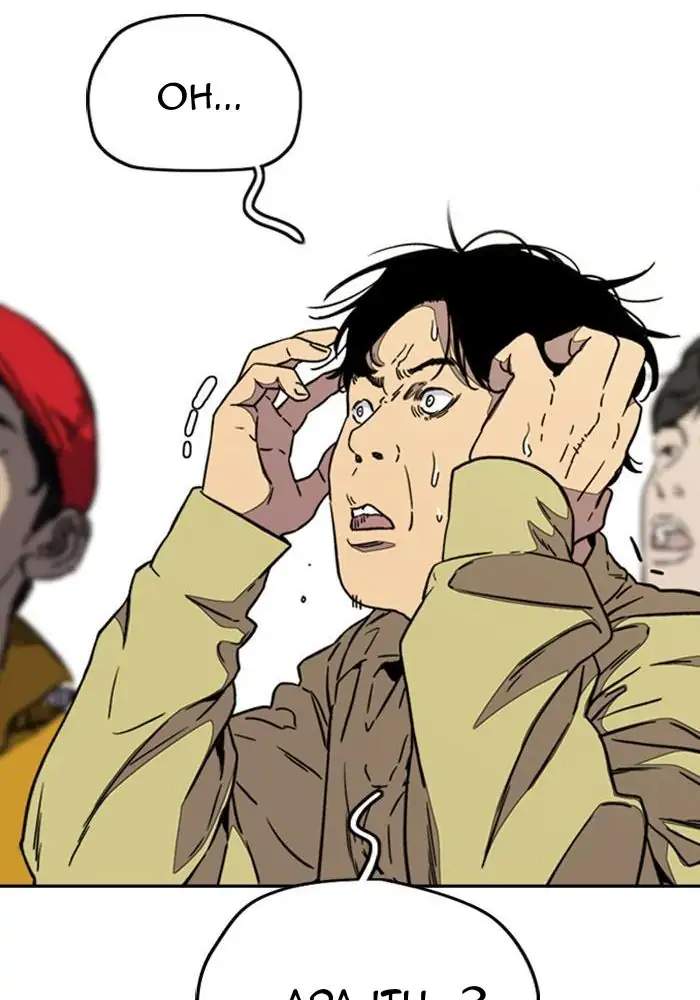 Wind Breaker