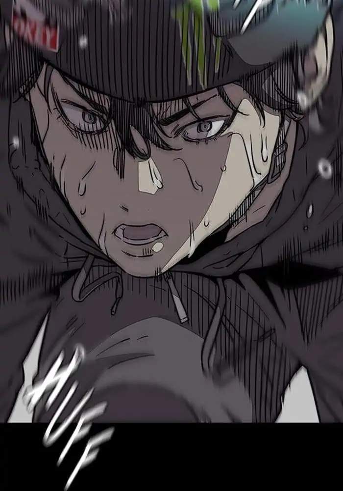 Wind Breaker