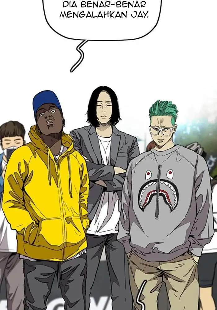 Wind Breaker