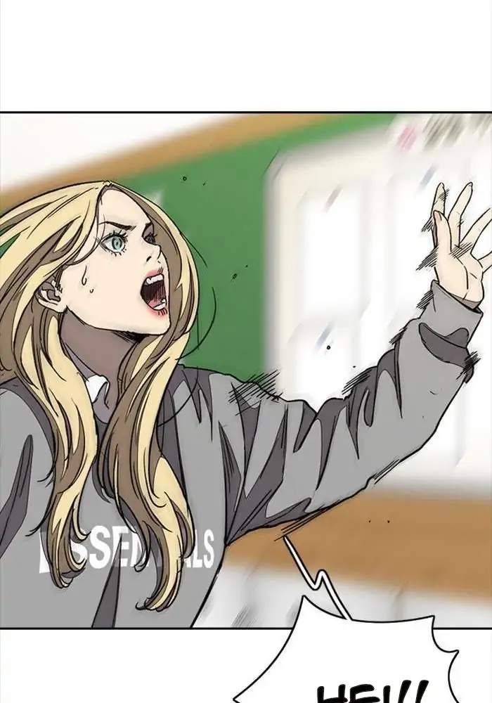 Wind Breaker
