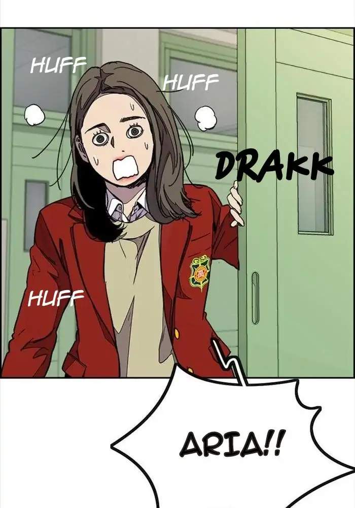 Wind Breaker