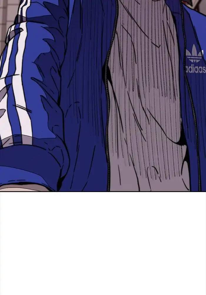 Wind Breaker