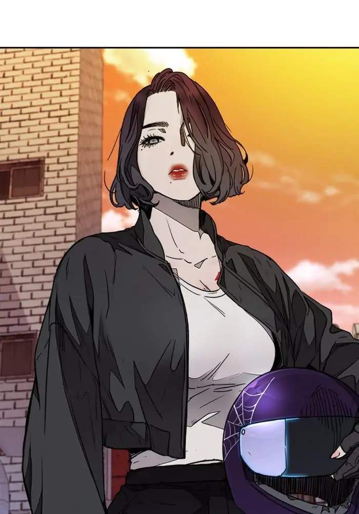 Wind Breaker