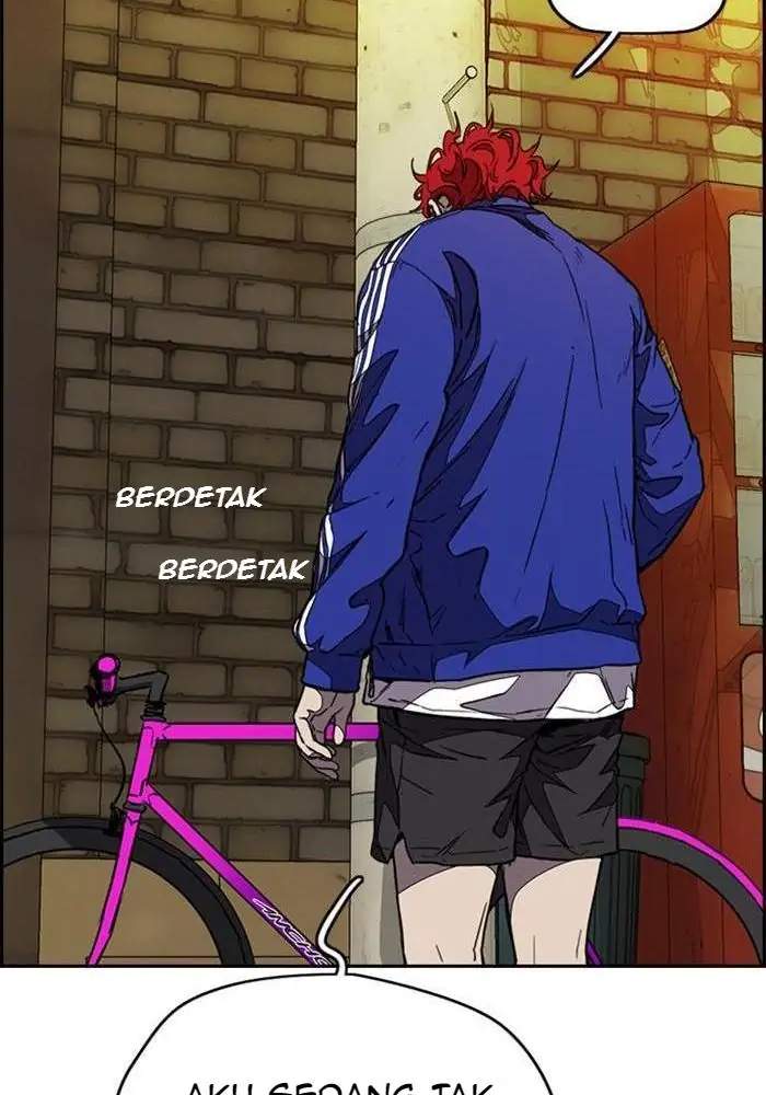 Wind Breaker