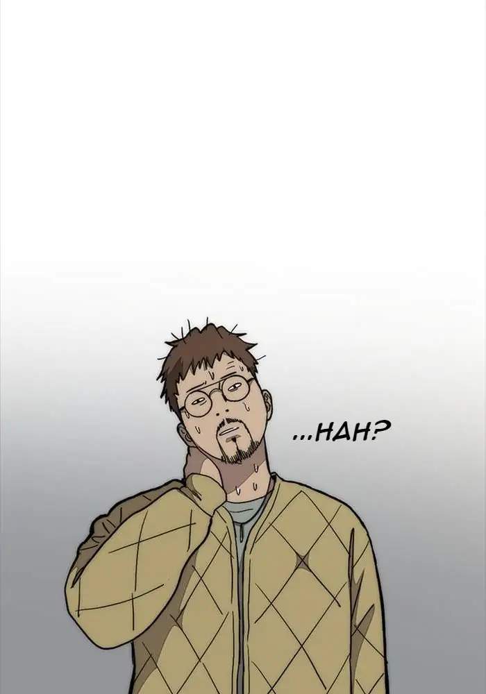 Wind Breaker