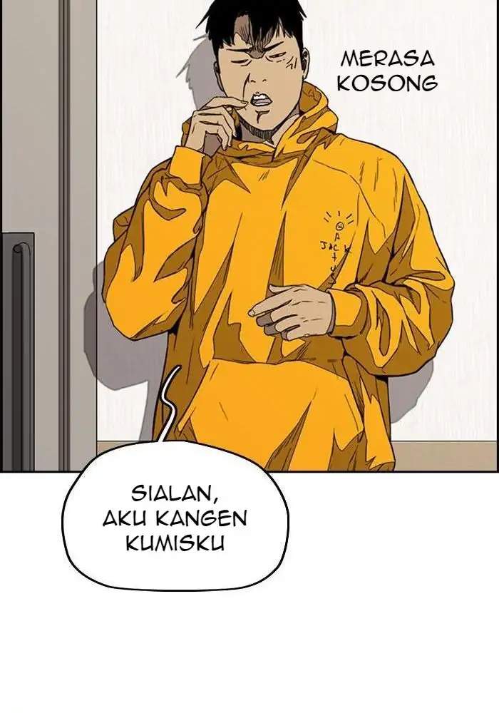 Wind Breaker