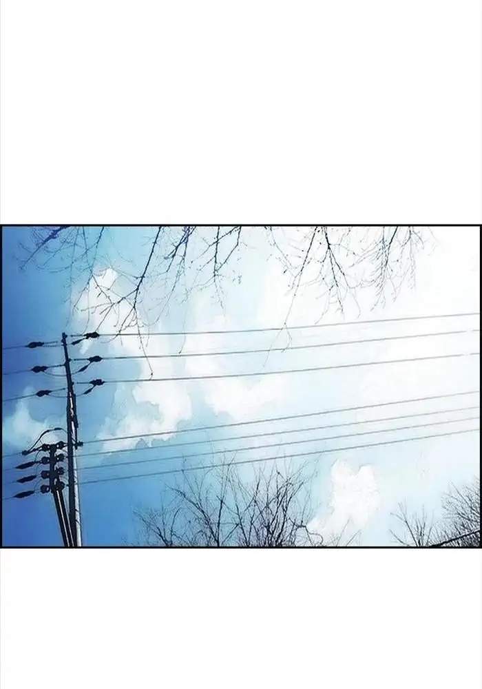 Wind Breaker