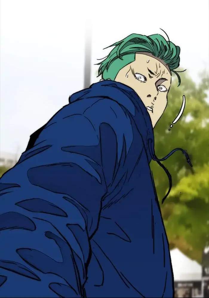 Wind Breaker