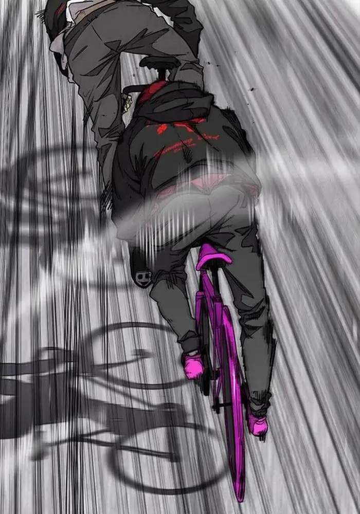 Wind Breaker
