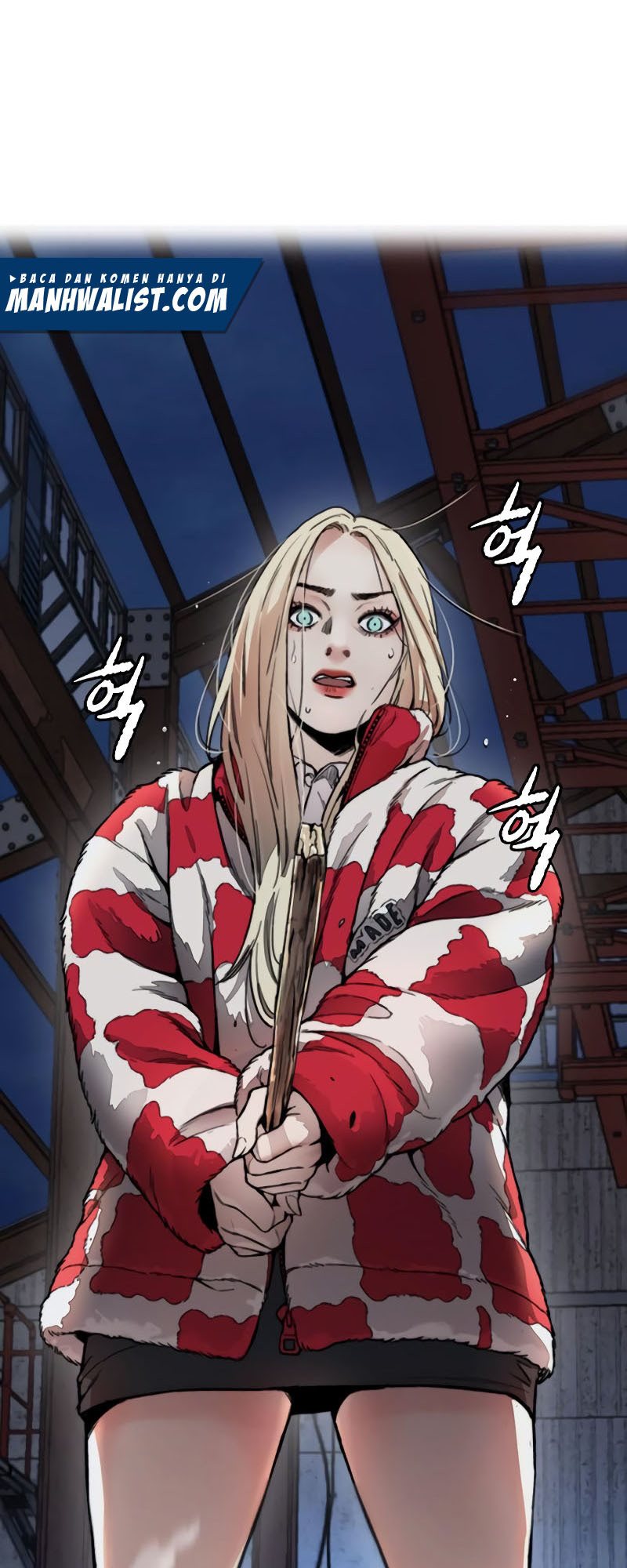 Wind Breaker
