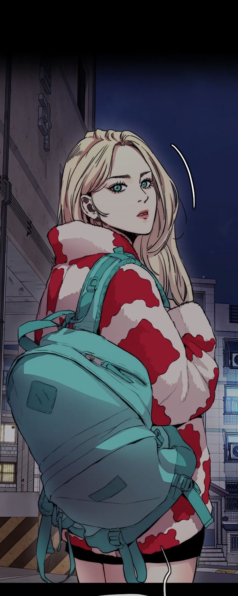Wind Breaker