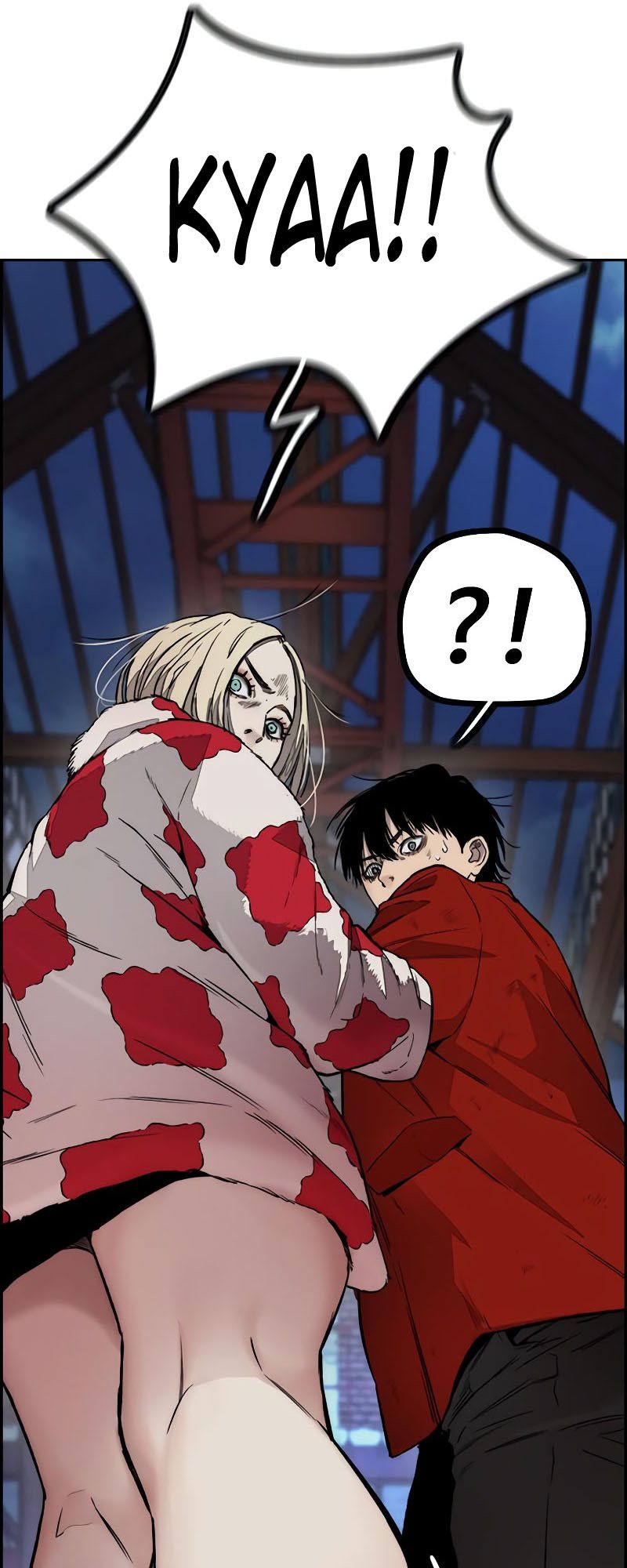 Wind Breaker
