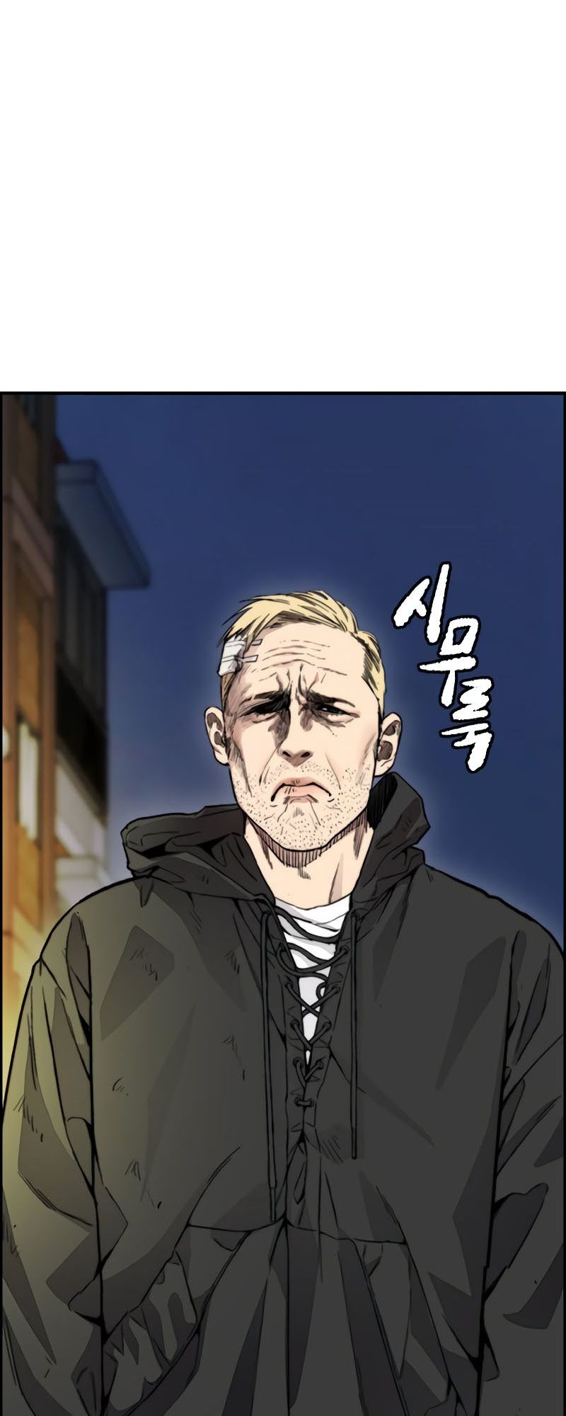 Wind Breaker