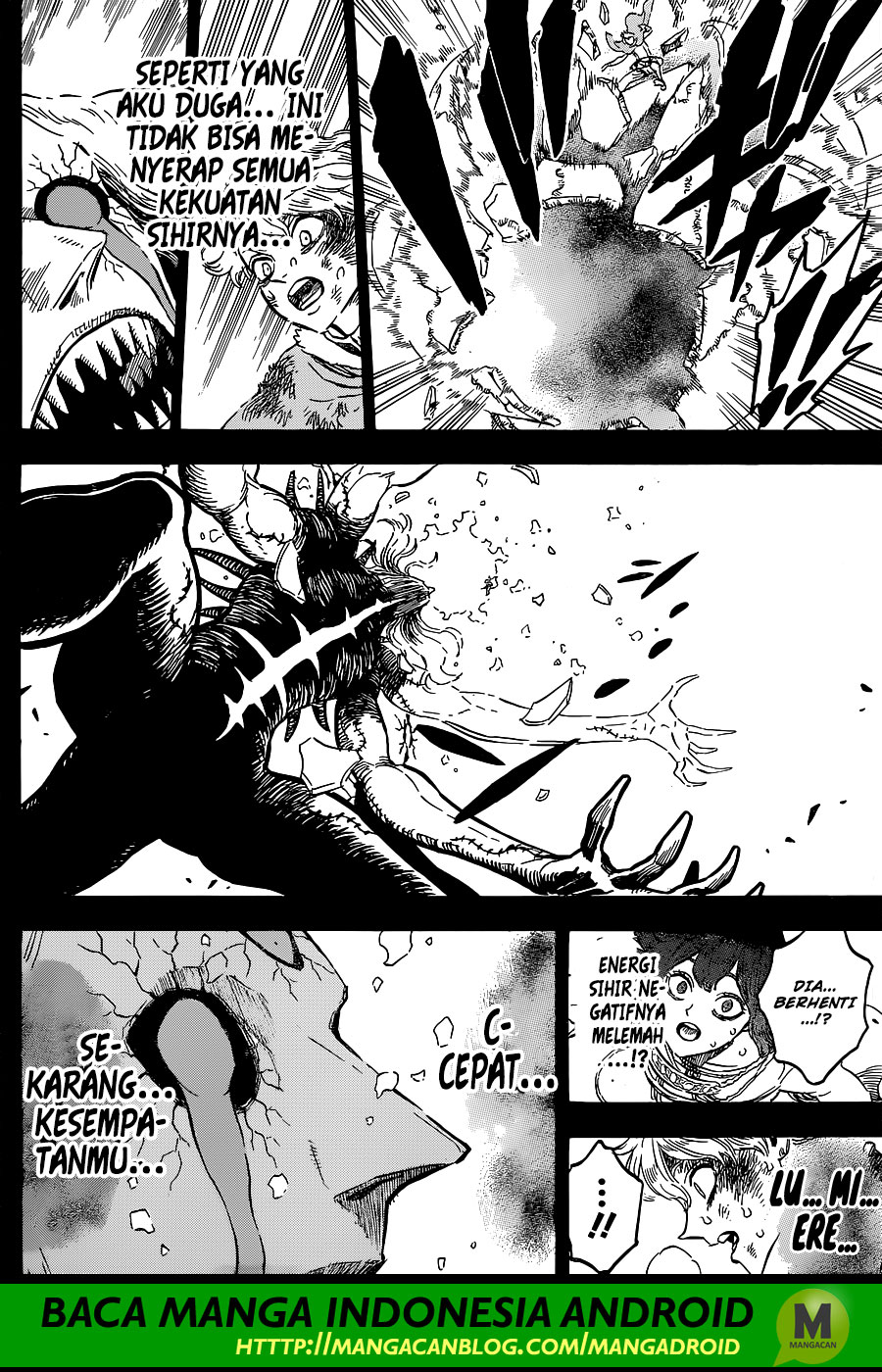 Black Clover
