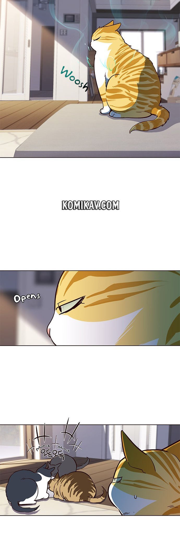 Eleceed
