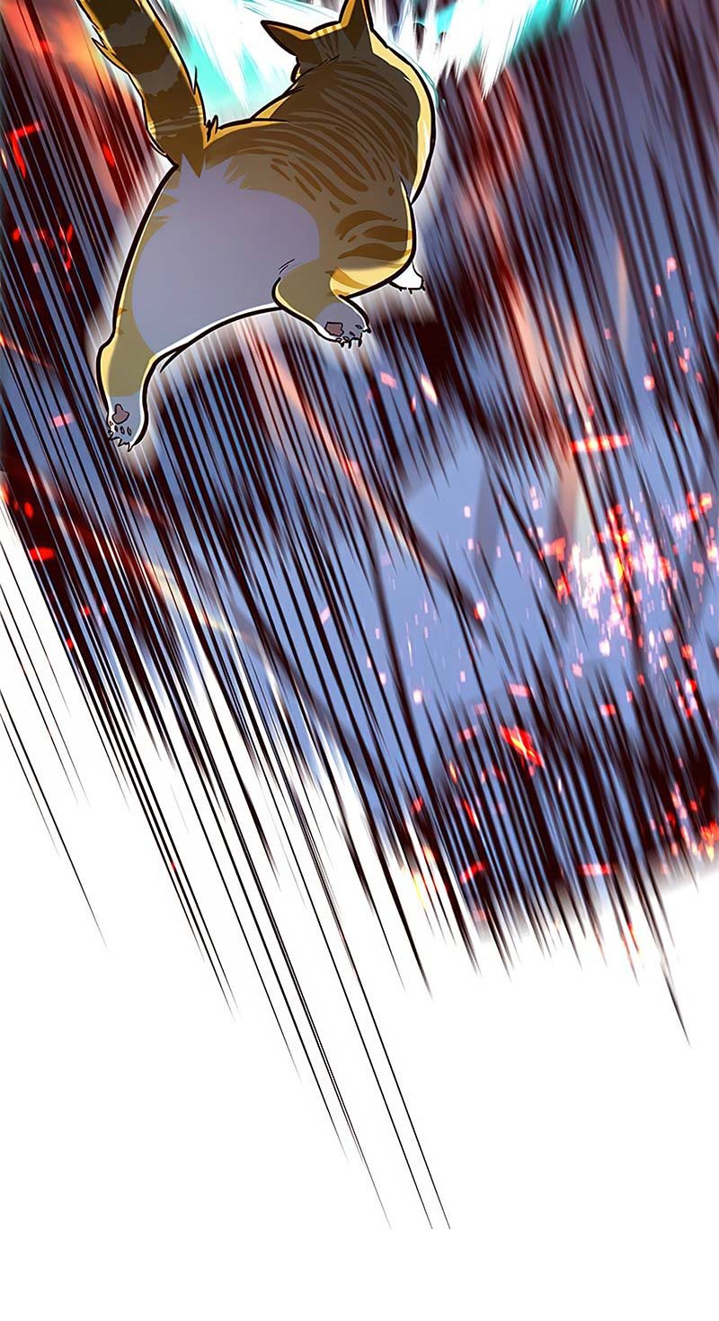 Eleceed