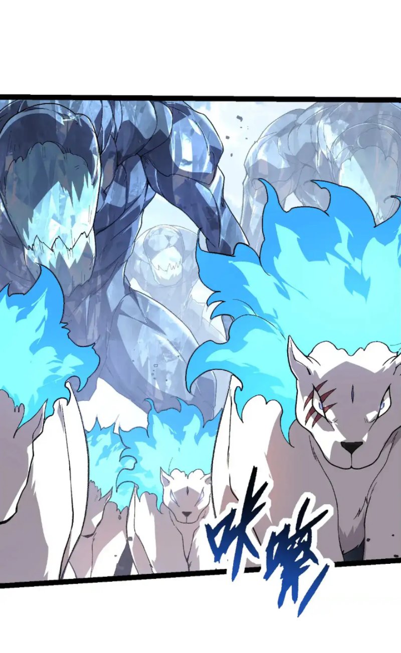 Evolution Begins With A Big Tree