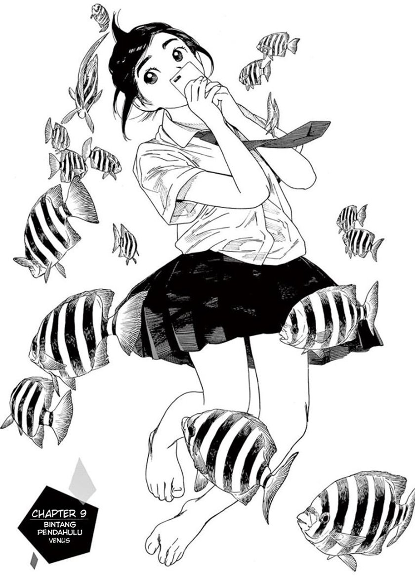 Insomniacs After School (Kimi wa Houkago Insomnia)