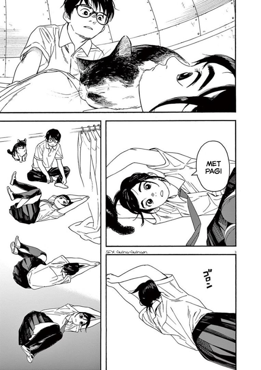 Insomniacs After School (Kimi wa Houkago Insomnia)