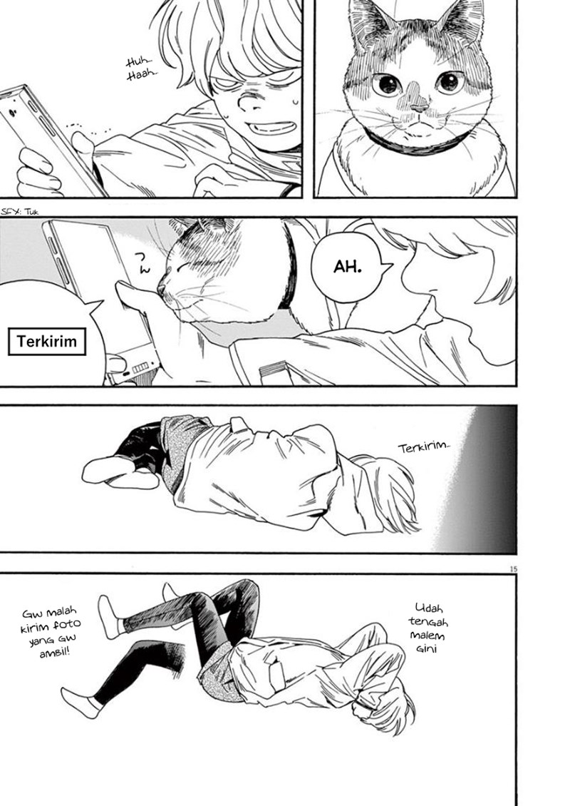 Insomniacs After School (Kimi wa Houkago Insomnia)