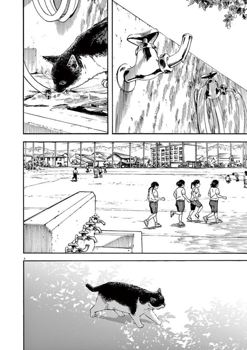 Insomniacs After School (Kimi wa Houkago Insomnia)