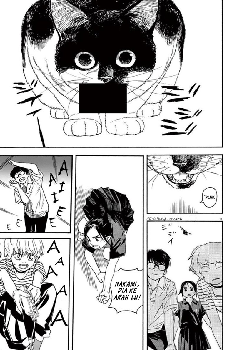 Insomniacs After School (Kimi wa Houkago Insomnia)