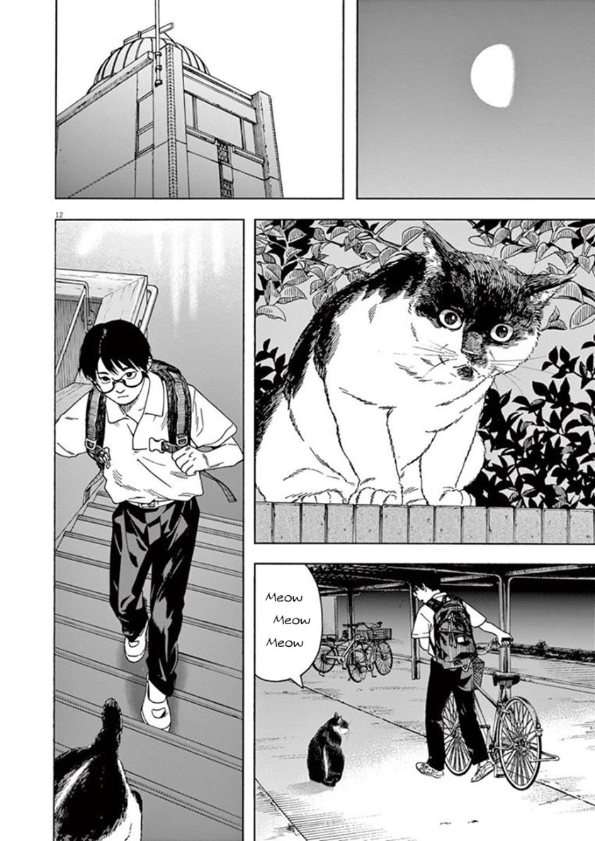 Insomniacs After School (Kimi wa Houkago Insomnia)