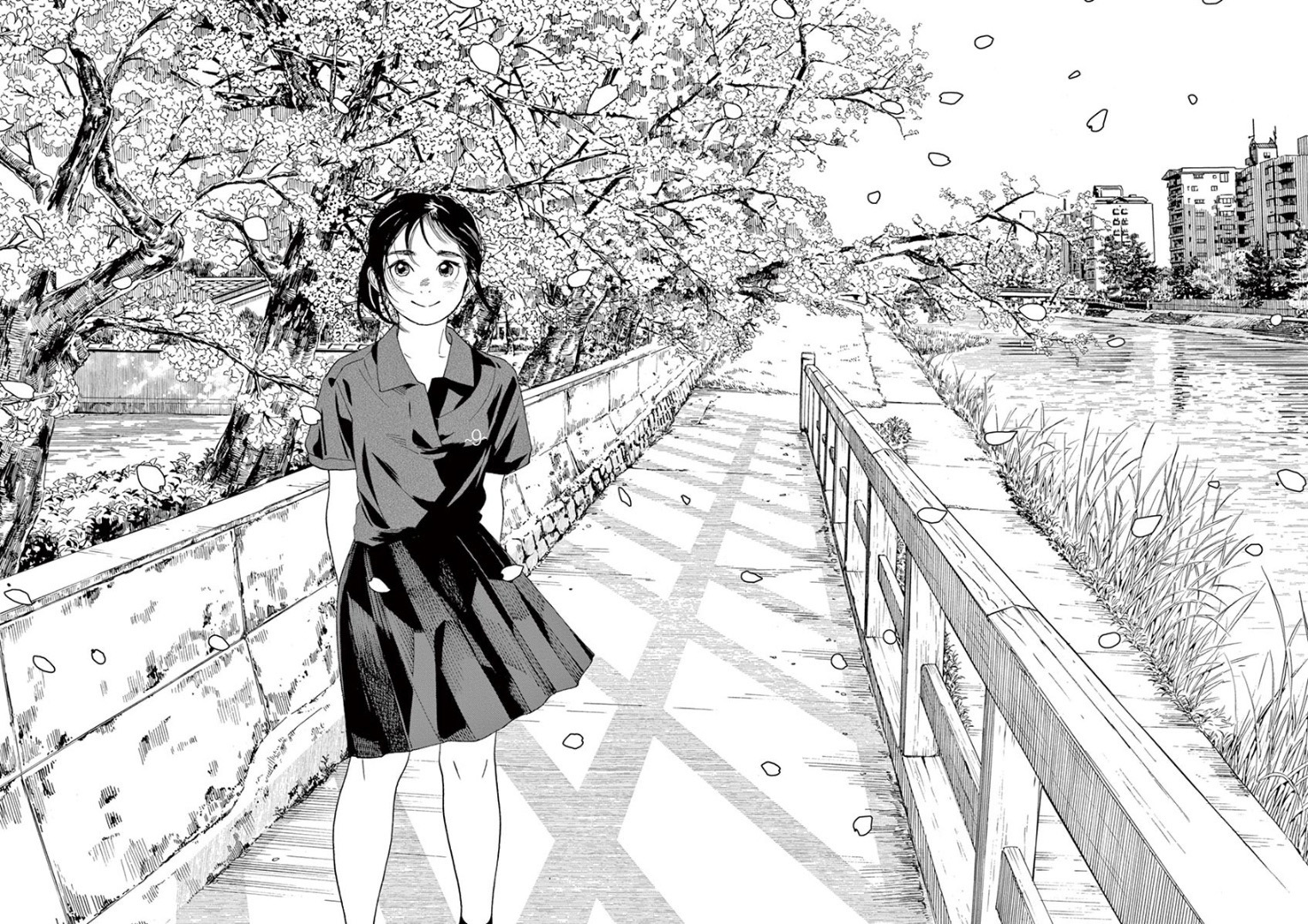 Insomniacs After School (Kimi wa Houkago Insomnia)
