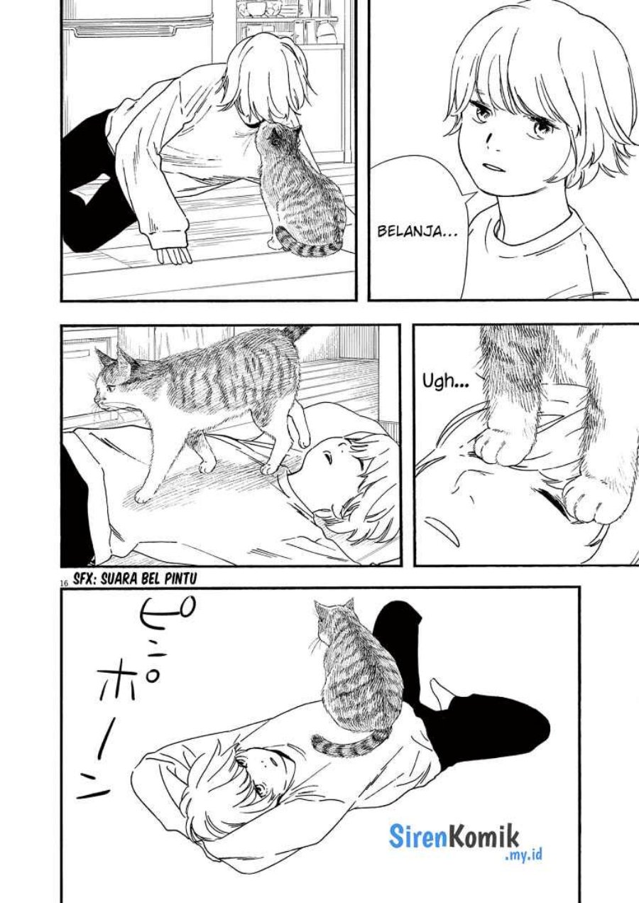 Insomniacs After School (Kimi wa Houkago Insomnia)