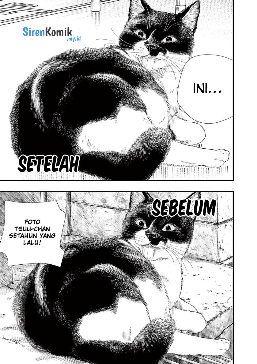 Insomniacs After School (Kimi wa Houkago Insomnia)
