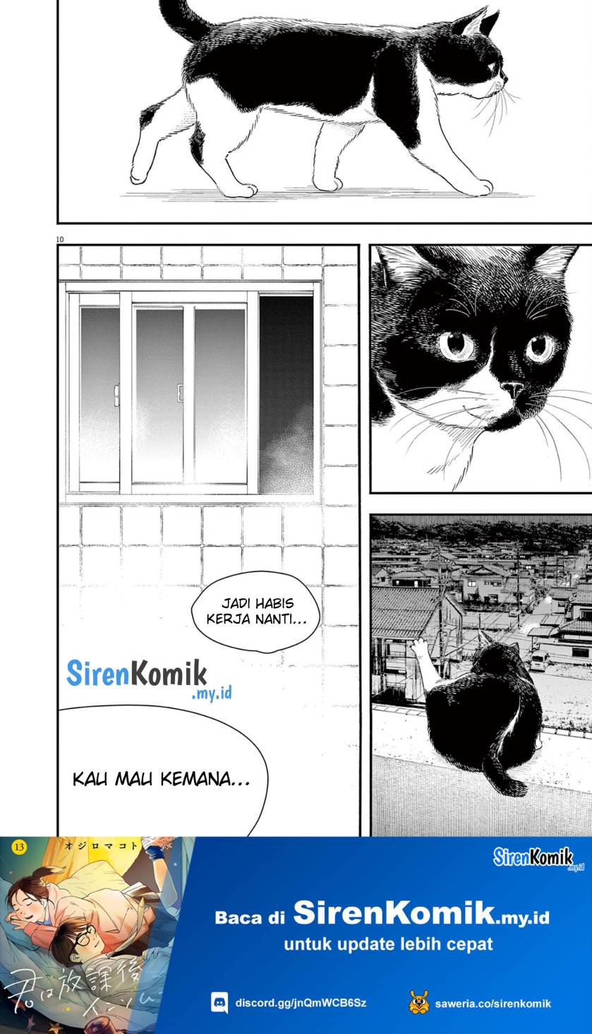Insomniacs After School (Kimi wa Houkago Insomnia)