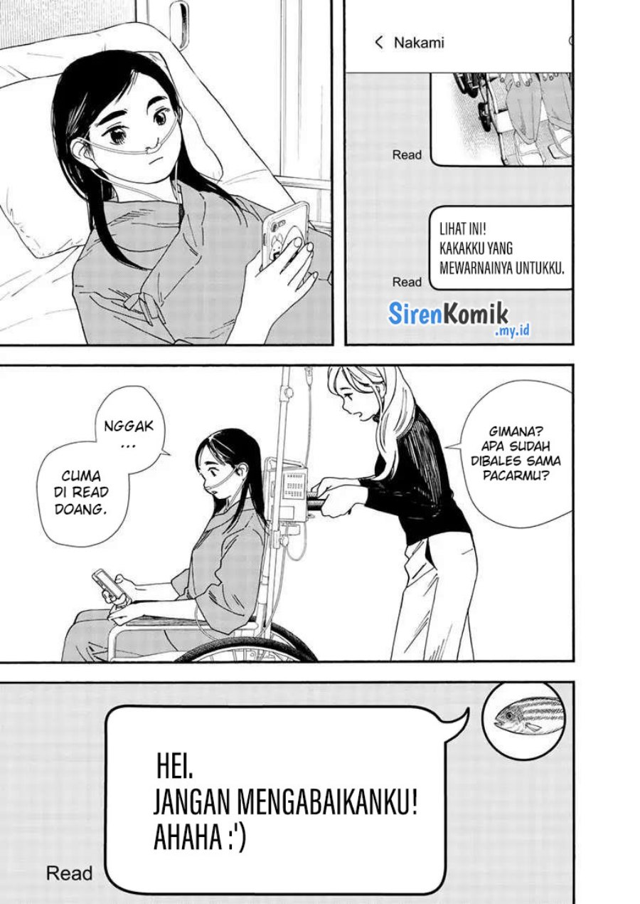Insomniacs After School (Kimi wa Houkago Insomnia)