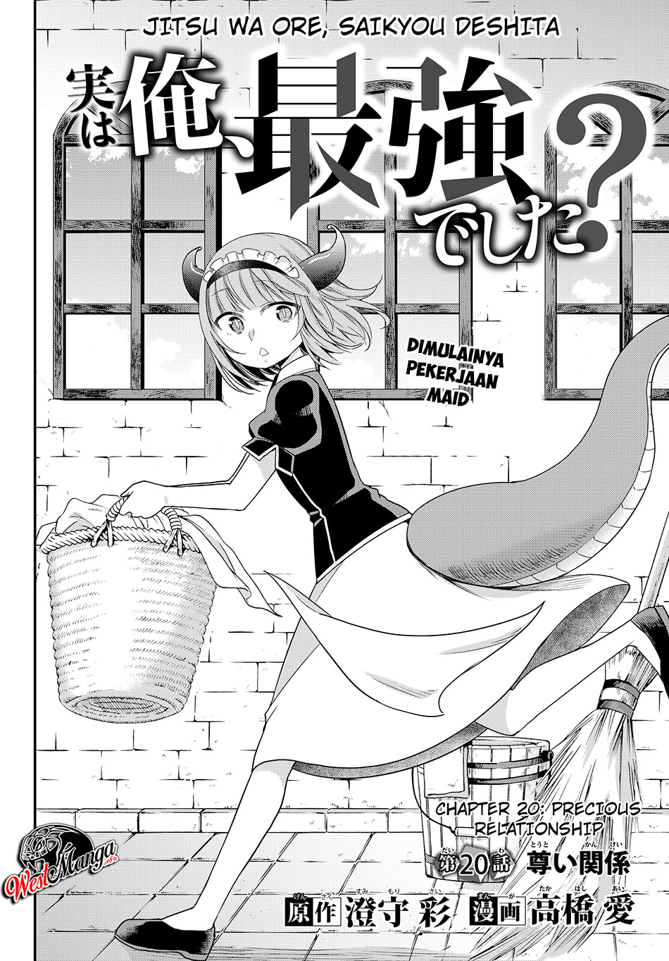 Jitsu wa Ore, Saikyou deshita?