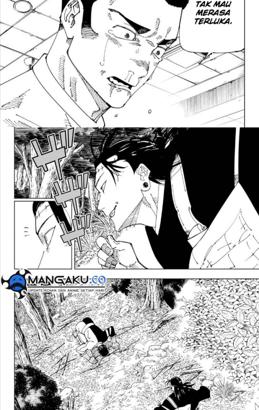 Jujutsu Kaisen