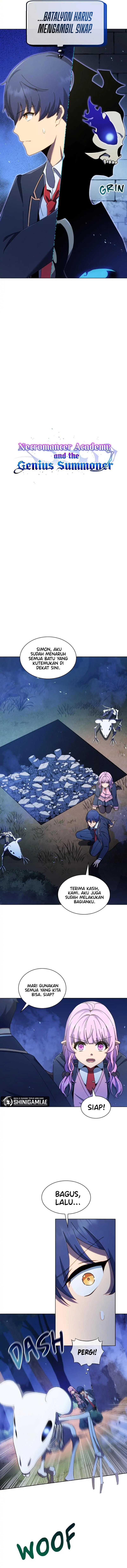 Necromancer Academy’s Genius Summoner