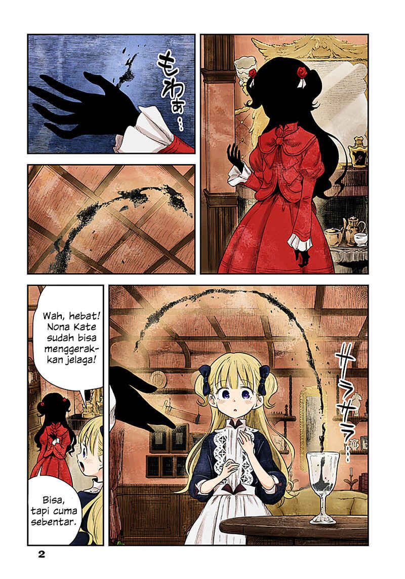 Shadows House