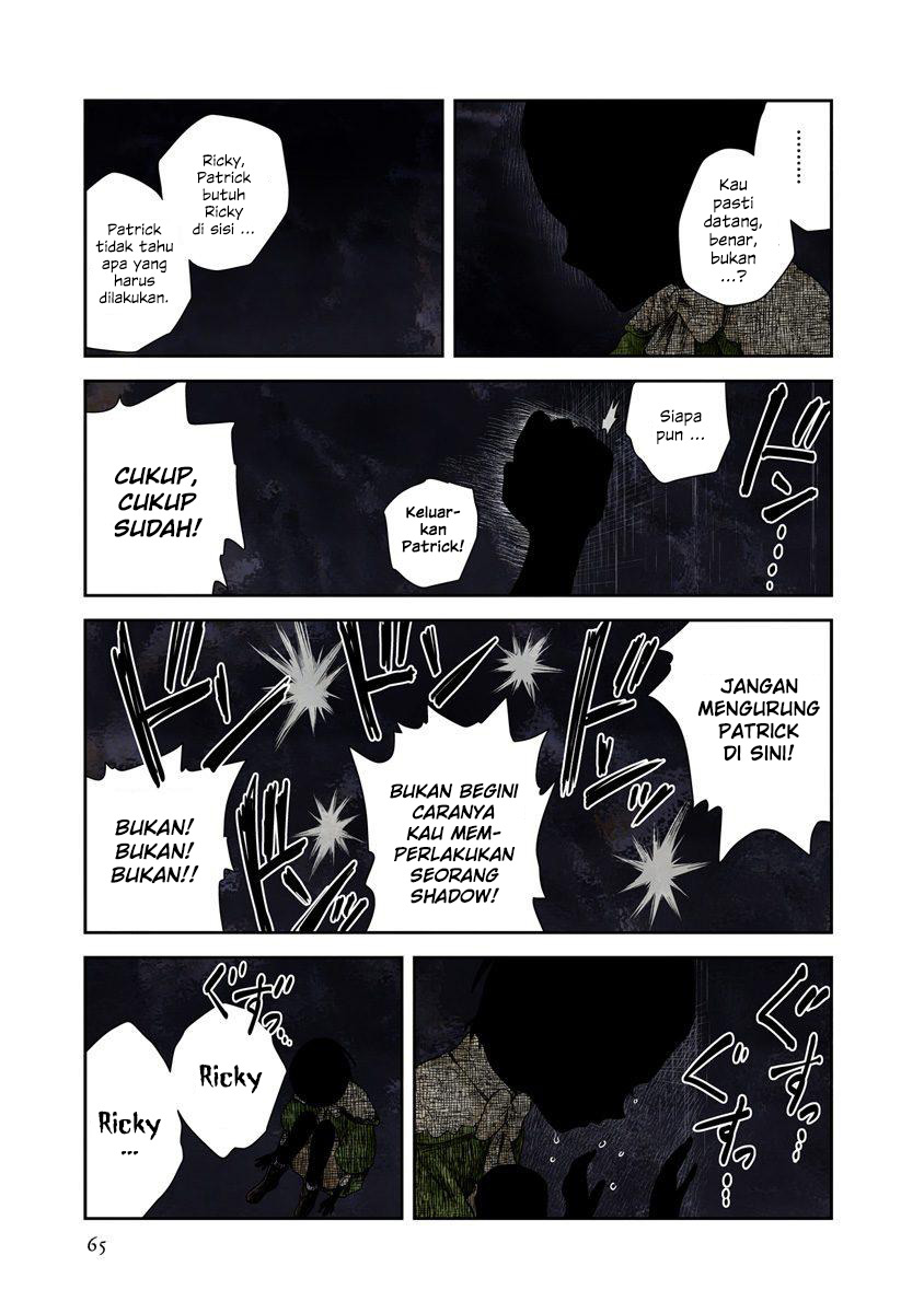 Shadows House