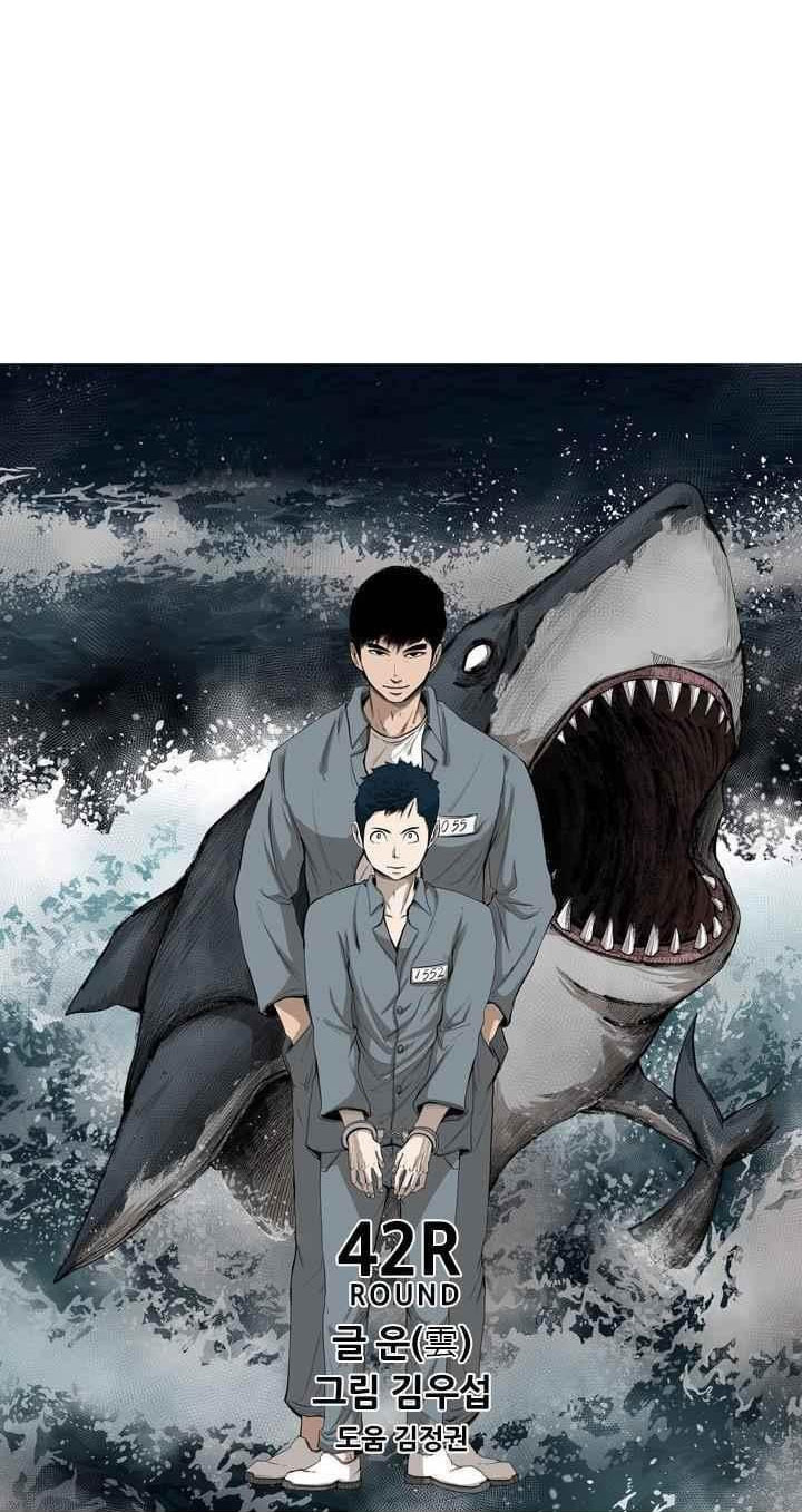 Shark