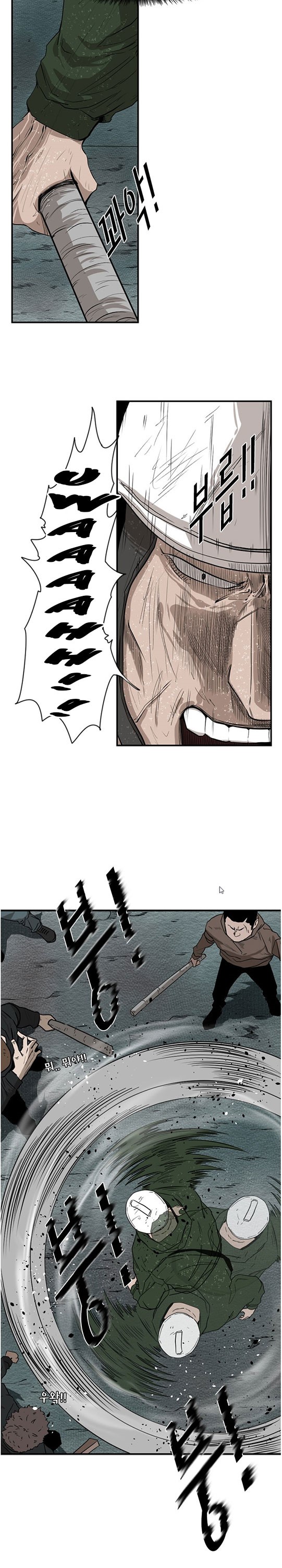 Shark