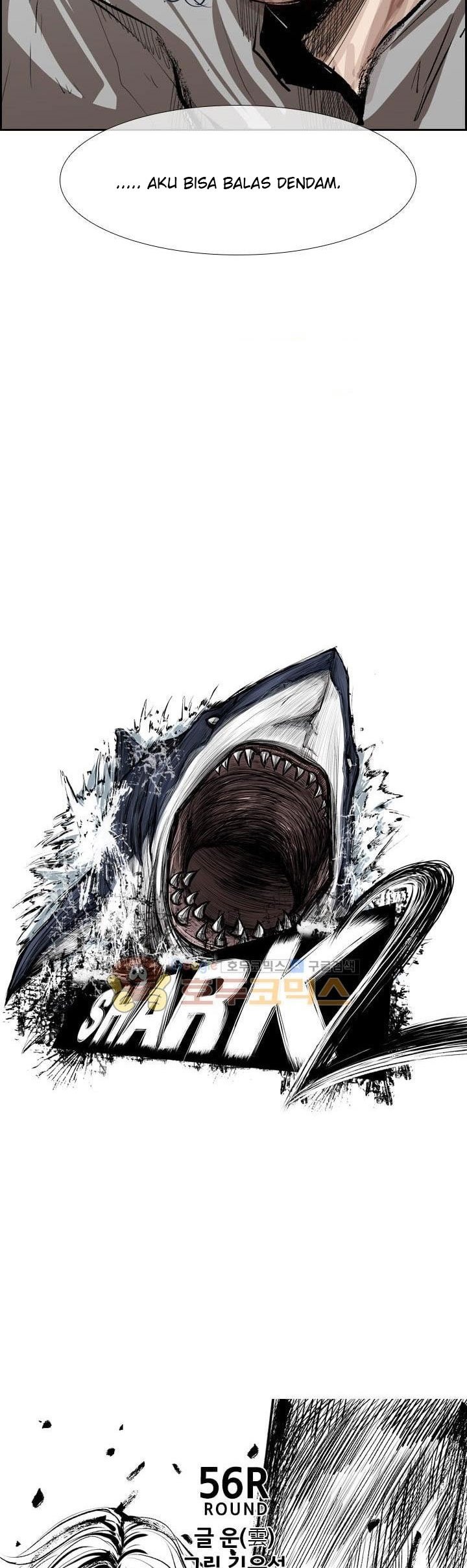 Shark