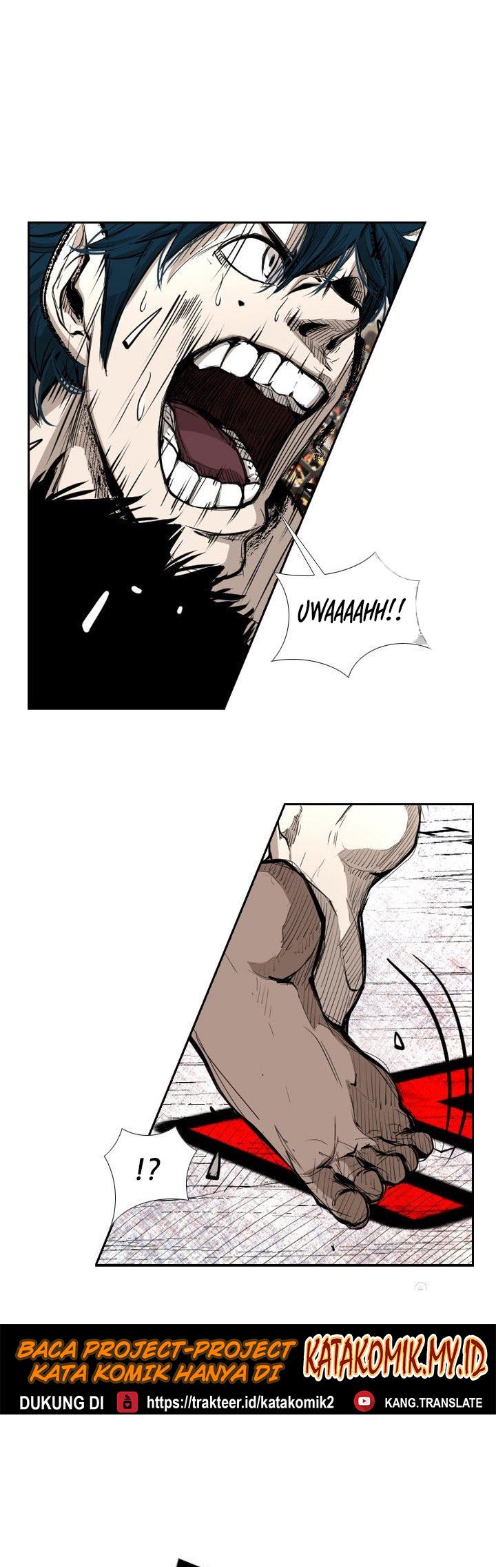 Shark