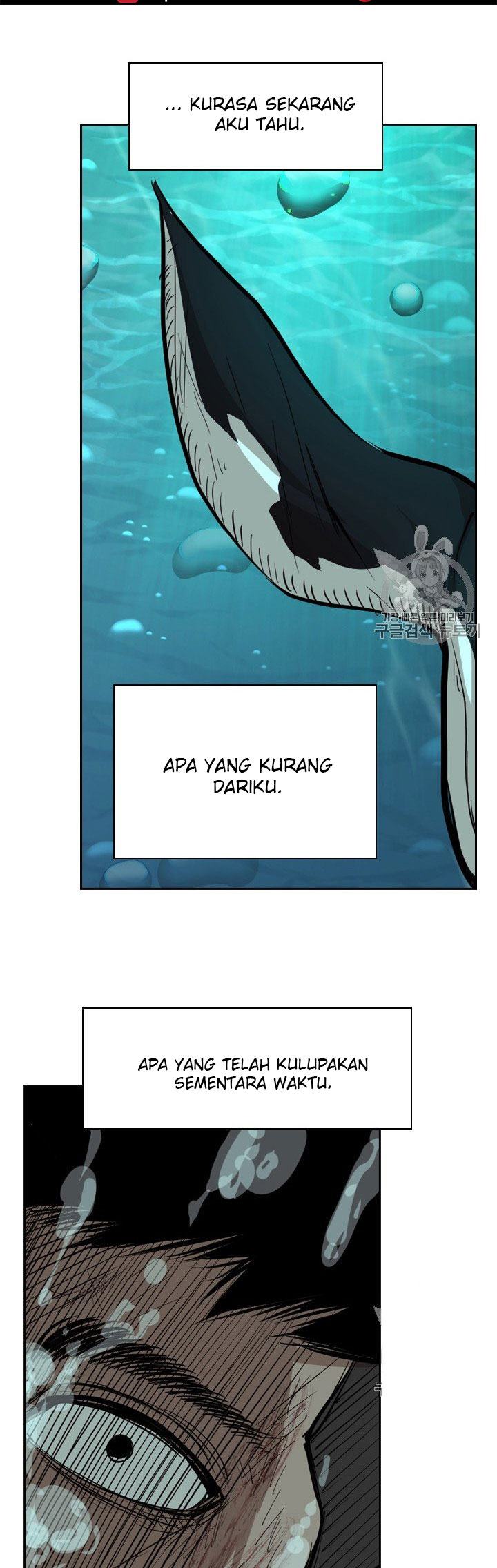 Shark